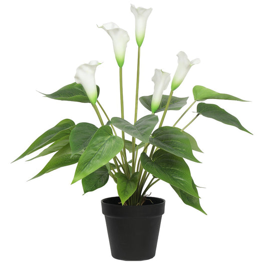 Artificial Flowering White Peace Lily / Calla Lily Plant 50cm